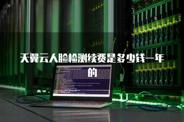 天翼云人脸检测续费是多少钱一年的