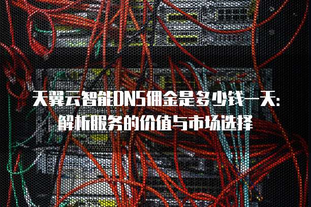 天翼云智能DNS佣金是多少钱一天:解析服务的价值与市场选择