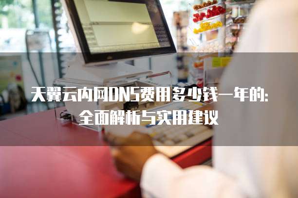 天翼云内网DNS费用多少钱一年的：全面解析与实用建议