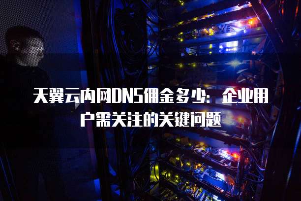 天翼云内网DNS佣金多少：企业用户需关注的关键问题