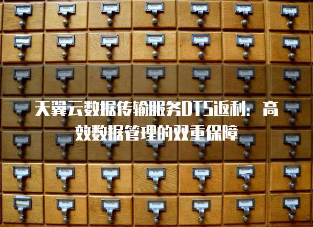 天翼云数据传输服务DTS返利：高效数据管理的双重保障