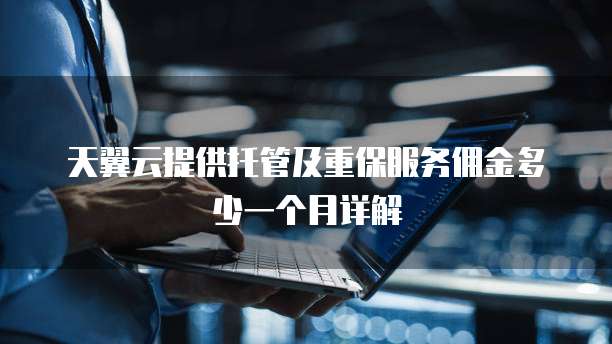 天翼云提供托管及重保服务佣金多少一个月详解