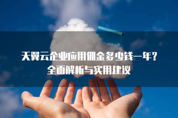 天翼云企业应用佣金多少钱一年?全面解析与实用建议