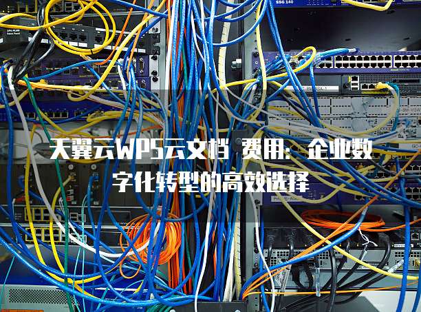 天翼云WPS云文档 费用：企业数字化转型的高效选择