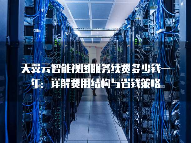 天翼云智能视图服务续费多少钱一年：详解费用结构与省钱策略