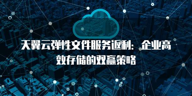 天翼云弹性文件服务返利:企业高效存储的双赢策略