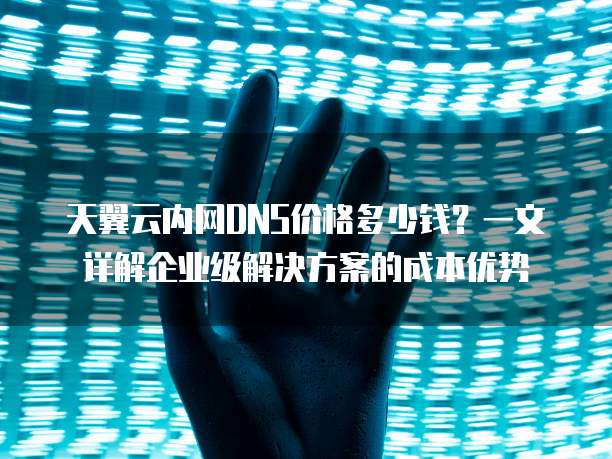 天翼云内网DNS价格多少钱?一文详解企业级解决方案的成本优势