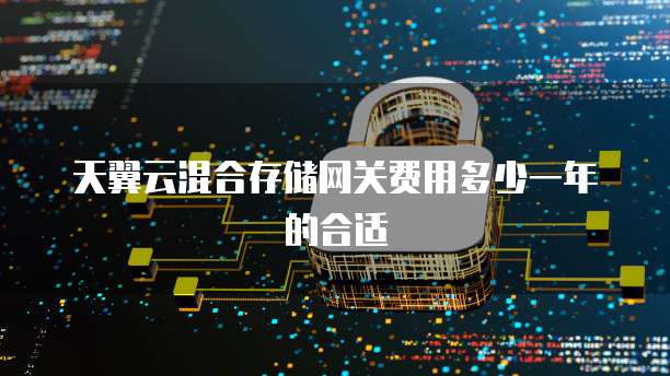 天翼云混合存储网关费用多少一年的合适