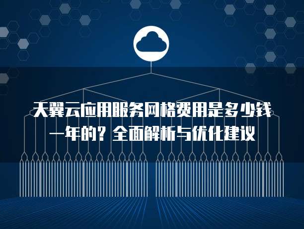 天翼云应用服务网格费用是多少钱一年的?全面解析与优化建议