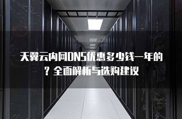 天翼云内网DNS优惠多少钱一年的?全面解析与选购建议