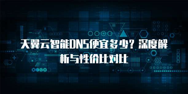 天翼云智能DNS便宜多少？深度解析与性价比对比