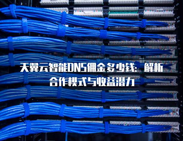 天翼云智能DNS佣金多少钱：解析合作模式与收益潜力