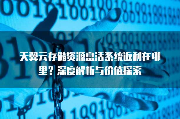 天翼云存储资源盘活系统返利在哪里?深度解析与价值探索