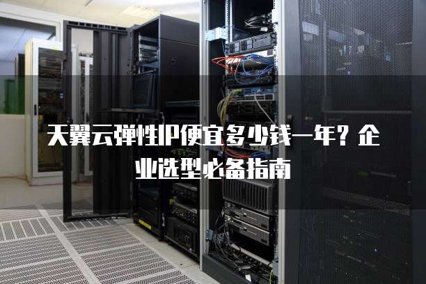 天翼云弹性IP便宜多少钱一年?企业选型必备指南