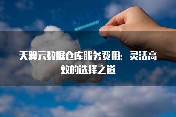 天翼云数据仓库服务费用:灵活高效的选择之道