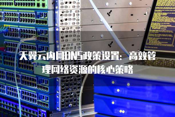 天翼云内网DNS政策设置:高效管理网络资源的核心策略