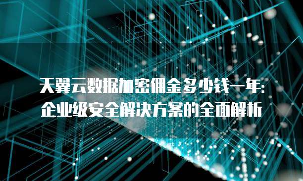 天翼云数据加密佣金多少钱一年：企业级安全解决方案的全面解析
