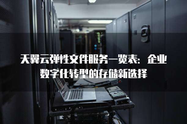 天翼云弹性文件服务一览表:企业数字化转型的存储新选择
