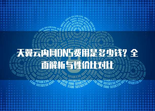 天翼云内网DNS费用是多少钱？全面解析与性价比对比