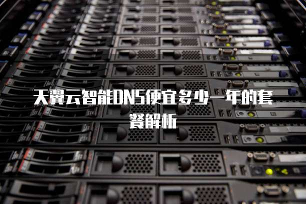 天翼云智能DNS便宜多少一年的套餐解析