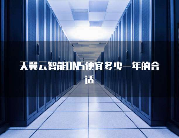 天翼云智能DNS便宜多少一年的合适