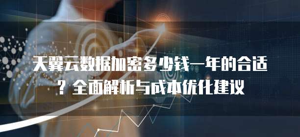 天翼云数据加密多少钱一年的合适？全面解析与成本优化建议