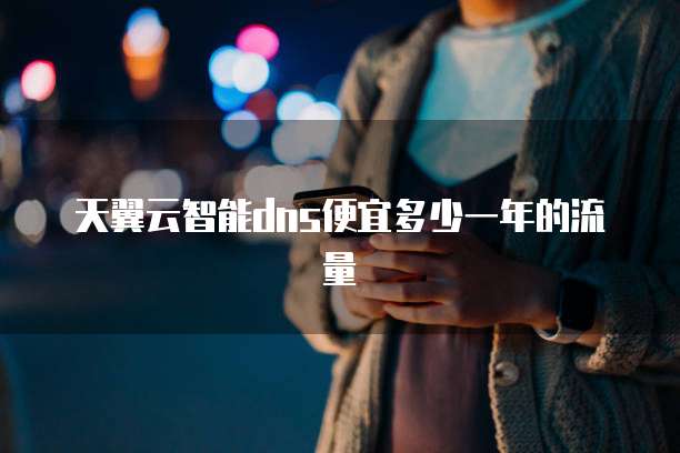 天翼云智能dns便宜多少一年的流量