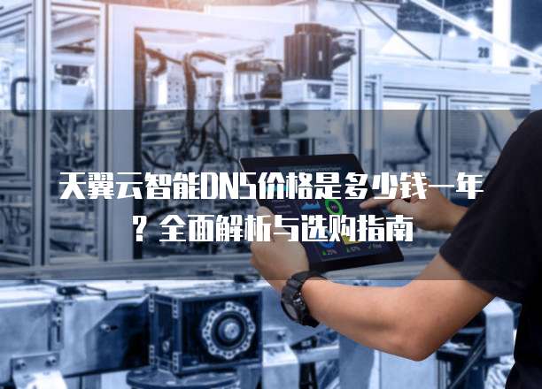 天翼云智能DNS价格是多少钱一年?全面解析与选购指南