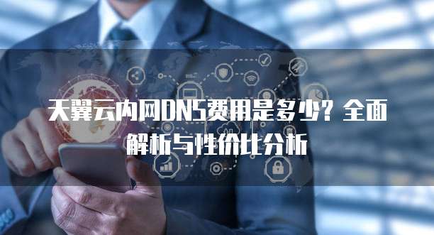 天翼云内网DNS费用是多少?全面解析与性价比分析