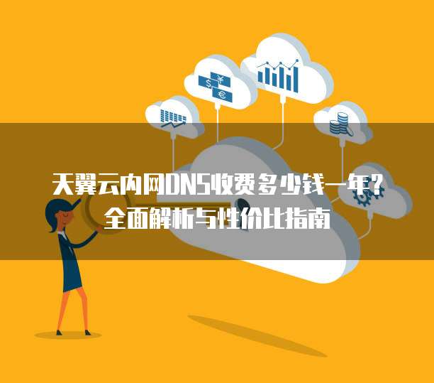 天翼云内网DNS收费多少钱一年？全面解析与性价比指南