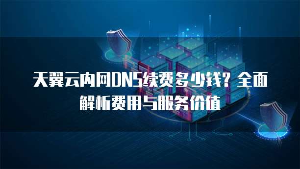 天翼云内网DNS续费多少钱？全面解析费用与服务价值