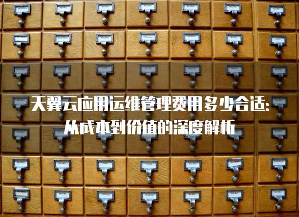 天翼云应用运维管理费用多少合适：从成本到价值的深度解析