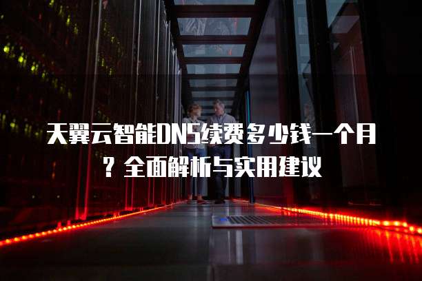 天翼云智能DNS续费多少钱一个月?全面解析与实用建议
