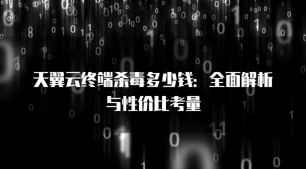 天翼云终端杀毒多少钱：全面解析与性价比考量