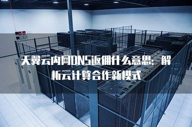 天翼云内网DNS返佣什么意思:解析云计算合作新模式