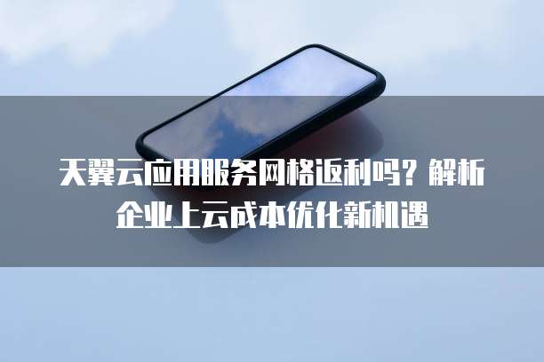 天翼云应用服务网格返利吗?解析企业上云成本优化新机遇