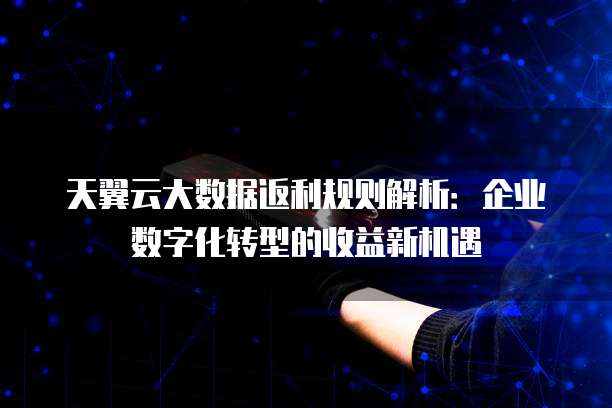 天翼云大数据返利规则解析:企业数字化转型的收益新机遇