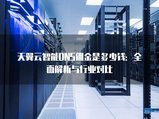 天翼云智能DNS佣金是多少钱:全面解析与行业对比