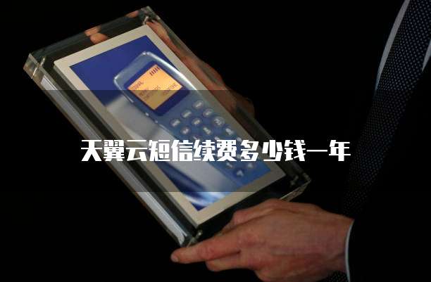 天翼云短信续费多少钱一年