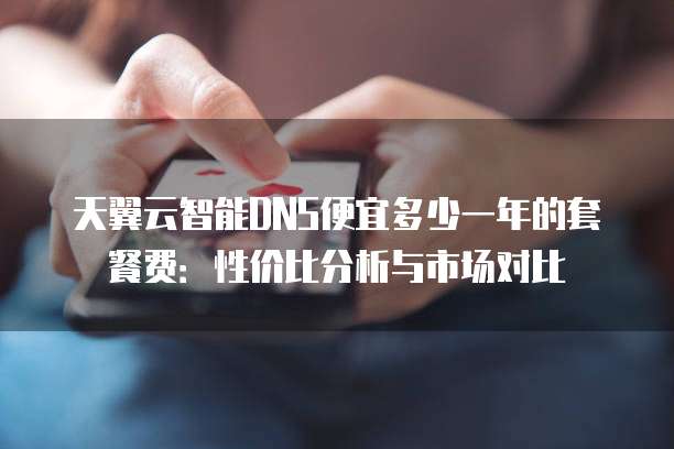 天翼云智能DNS便宜多少一年的套餐费:性价比分析与市场对比