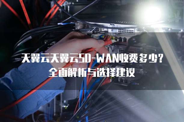 天翼云天翼云SD-WAN收费多少?全面解析与选择建议