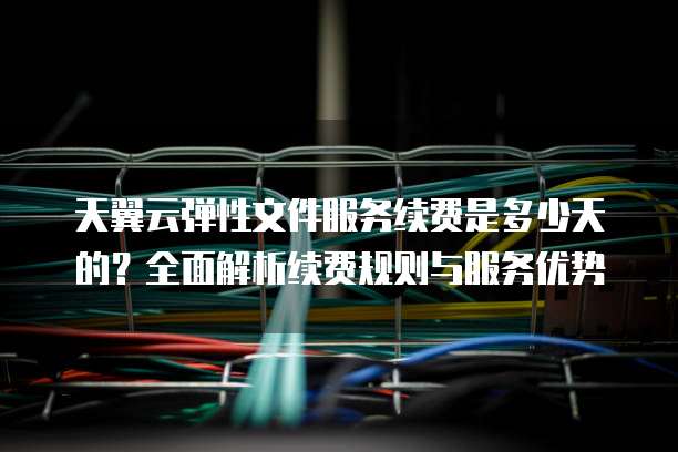 天翼云弹性文件服务续费是多少天的?全面解析续费规则与服务优势