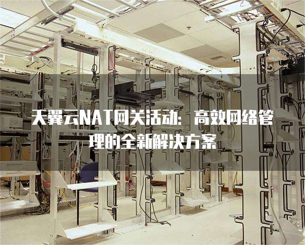 天翼云NAT网关活动:高效网络管理的全新解决方案