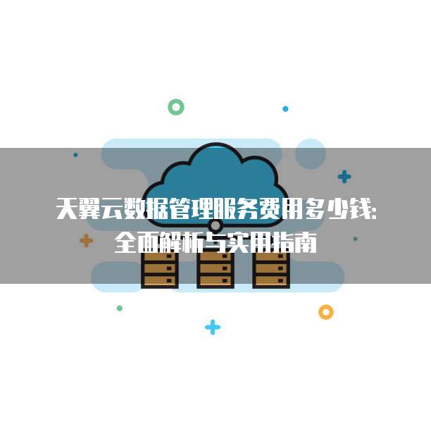 天翼云数据管理服务费用多少钱:全面解析与实用指南