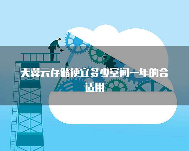 天翼云存储便宜多少空间一年的合适用