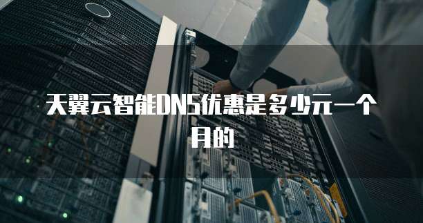 天翼云智能DNS优惠是多少元一个月的