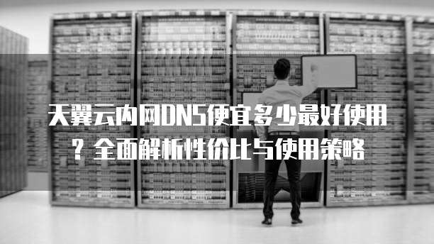 天翼云内网DNS便宜多少最好使用?全面解析性价比与使用策略