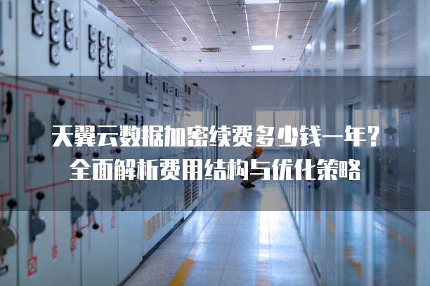 天翼云数据加密续费多少钱一年?全面解析费用结构与优化策略