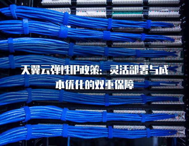 天翼云弹性IP政策：灵活部署与成本优化的双重保障