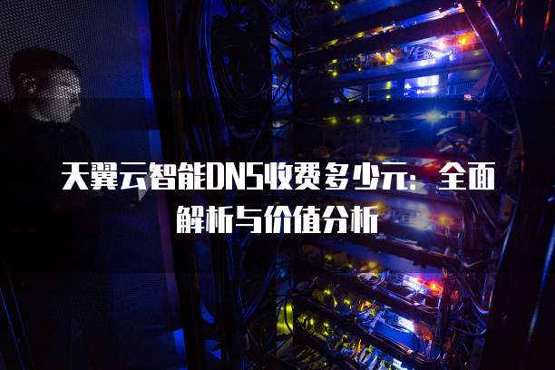 天翼云智能DNS收费多少元:全面解析与价值分析